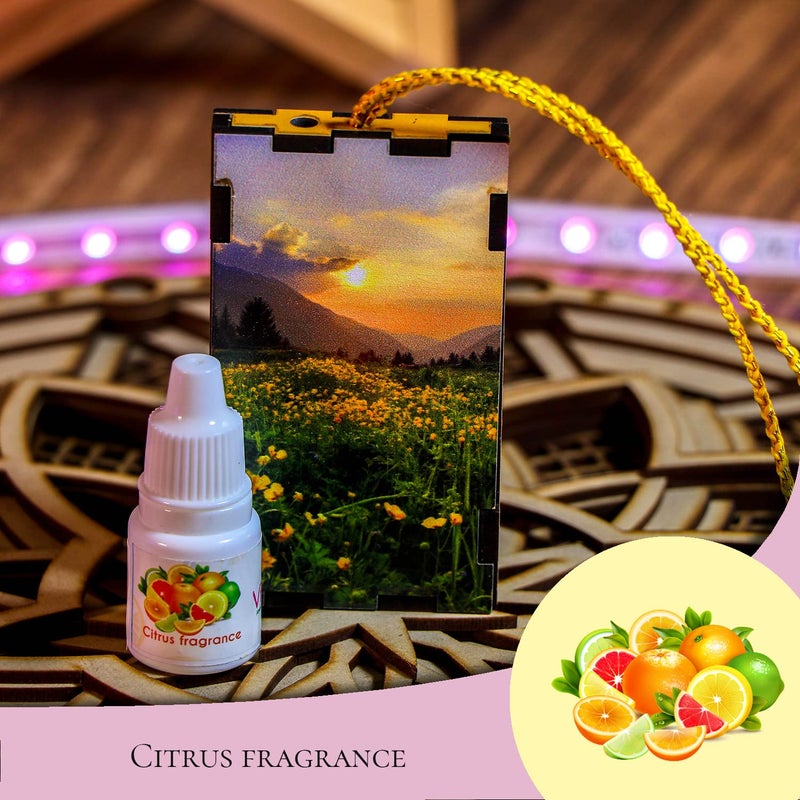 Hiki Ziki Bathroom Toilet Air Freshener Wooden Perfume Pendant With Hanging String Deodoriser Scent Essential Oil Diffuser Longlasting Fragrance Toilet Bed Smell Remover Citrus 4 pcs - Image 3