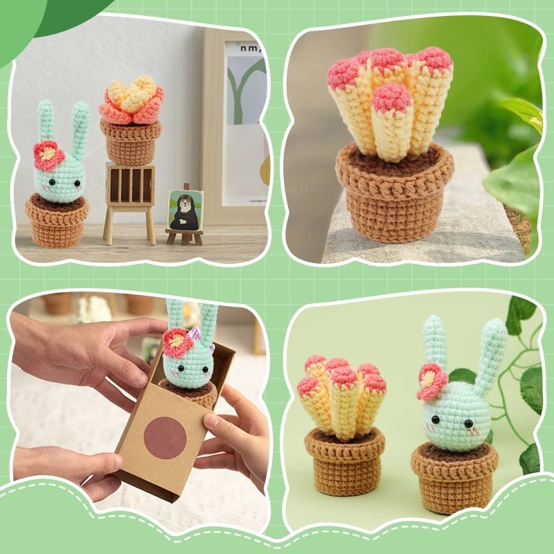 Crochet Kits: 10-Color Yarn, 2 Hook Types, Complete Supplies - Beginner-Friendly Instructions, 6 Succulent Patterns for Home Decor, Craft Beginners - Image 5