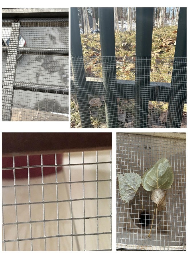 LOVEERCT Galvanized Hardware Cloth 1/4 Inch 4in X 20ft 23 Gauge Hot-dip Galvanized After Welding, Hot Dipped Galvanized Welded Cage Wire Mesh Roll, Handicraft Making Wire Mesh - Image 5