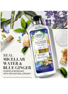 Herbal Essences Renew Natural Shampoo + Conditioner With Micellar Water And Blue Ginger For Hair Purifying 400ml + 400ml Pack of 2  - Image 2
