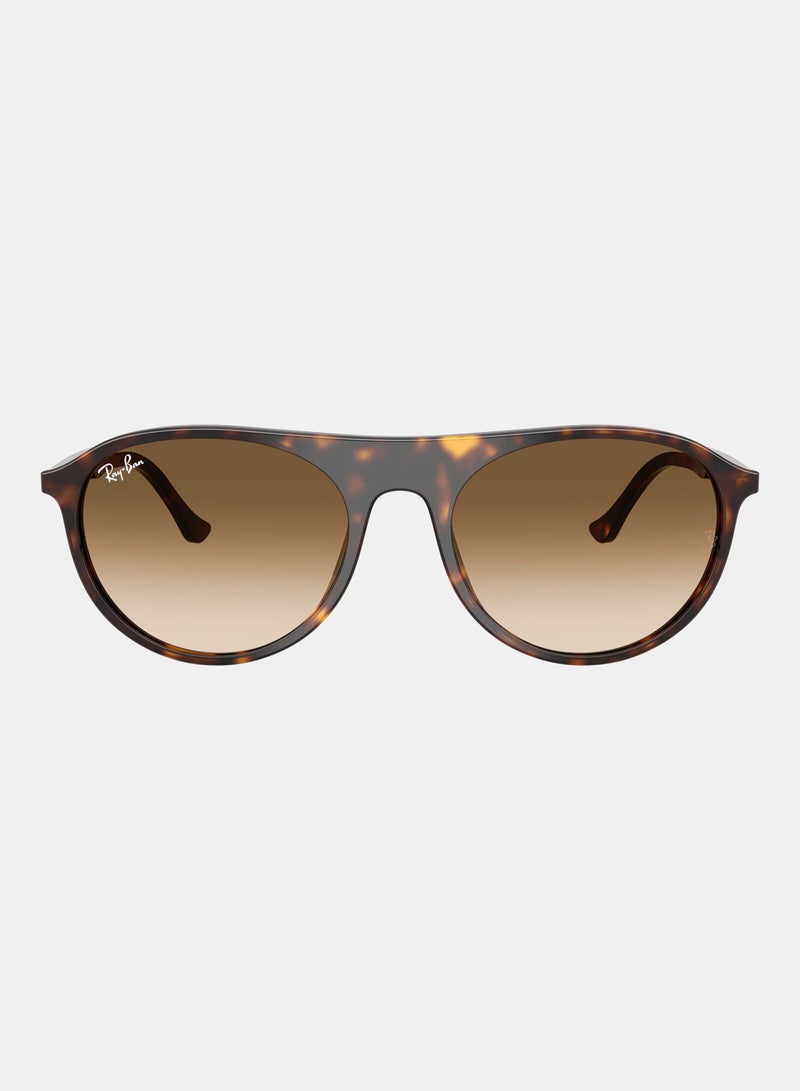 راي بان Women Full-rimed Aviator Sunglasses 2215, 56, 902, 51 - Image 1