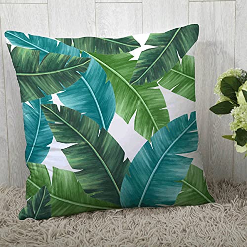 AMAZE ATTIRES | Decorative Printed Cotton Satin Square Cushion Cover Set Of 2 Throw Pillow Covers/Cases For Couch Sofa Home (20 X 20 Inch Or 50Cm X50Cm) Atcu143, Multicolor - Image 3