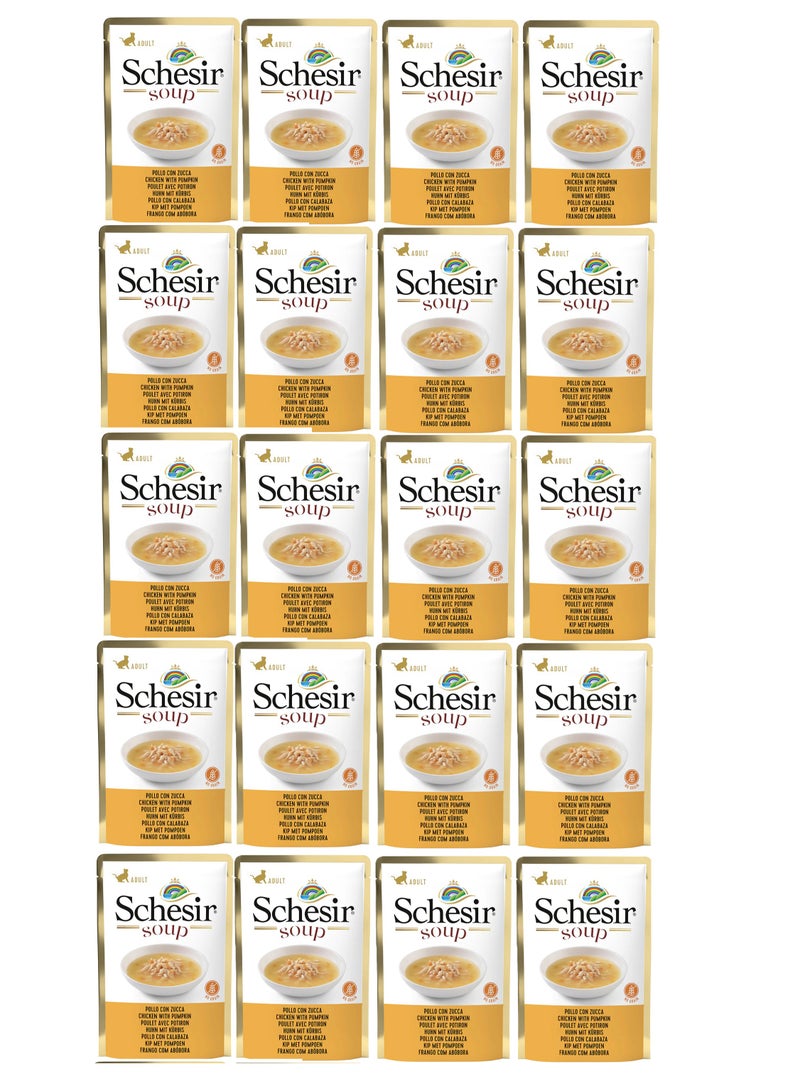 Schesir Pack of 20 Cat Wet Soup-Chicken with Pumpkin 20x85g
