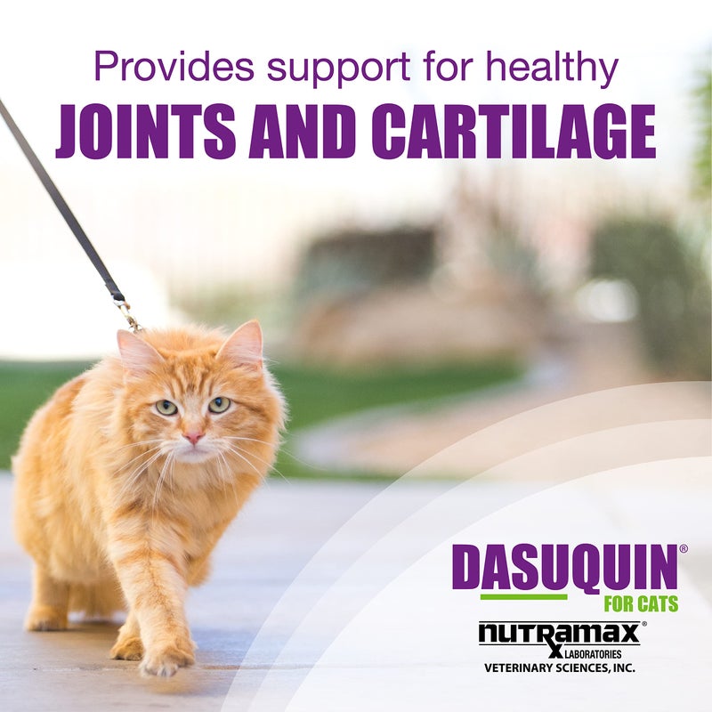 Nutramax Laboratories Dasuquin Joint Health Supplement for Cats - With Glucosamine, Chondroitin, ASU, Boswellia Serrata Extract, and Green Tea Extract, 84 Capsules - Image 2