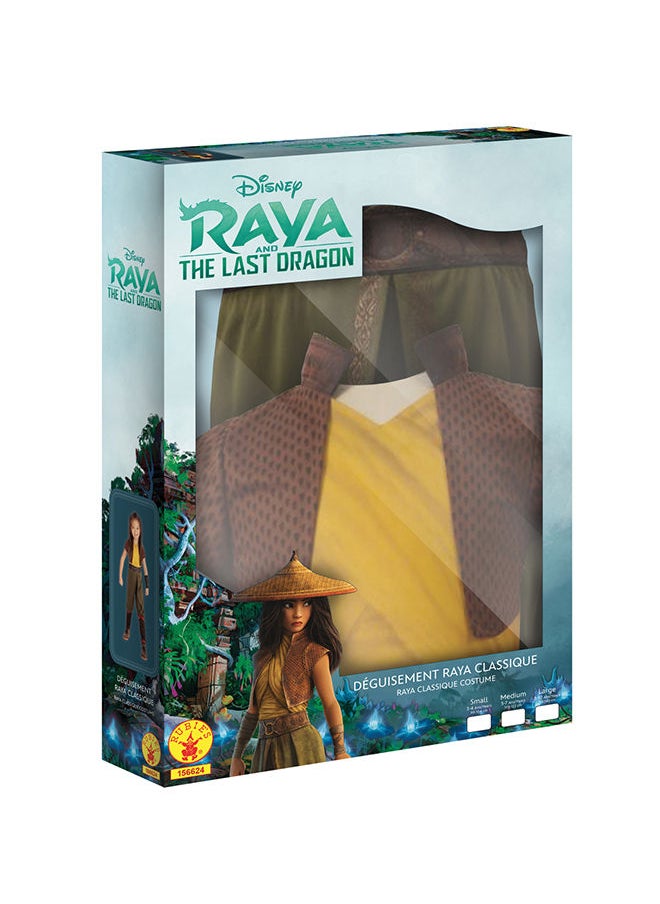 RUBIE'S - Official Disney Raya and The Last Dragon Deluxe Girls Costume Box Set - Image 1
