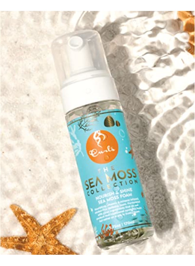 Curls Sea Moss Nourish Shine Foam Nourishing AlcoholFree Hair Mousse Vitamin and Mineral Infused Lightweight Sculpted Glossy Voluminous Finish For All Types 575oz - Image 3