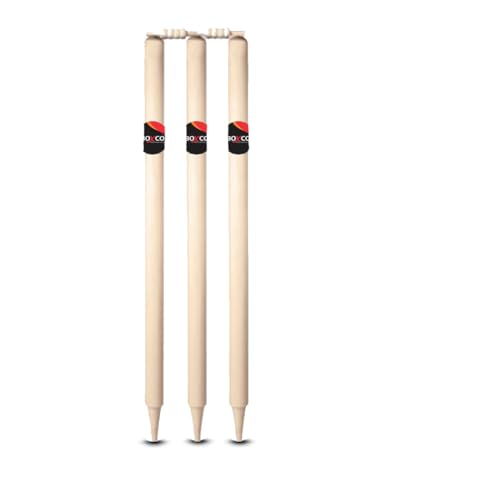Boxco Velocity Full Size Wooden Cricket Kit - Includes Full Size Capsule Cricket Bat, 3 Wickets, Heavy Tennis Cricket Ball, 2 Bails & Carry Bag - Image 3