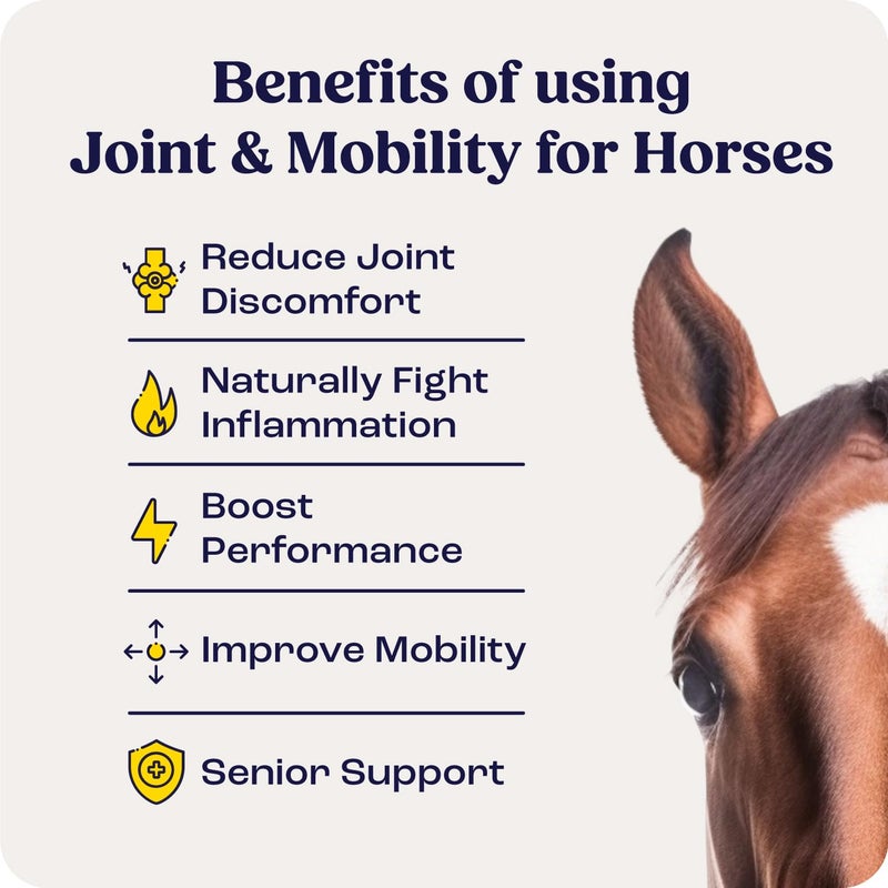 Summit Equine Joint & Mobility Bites Daily Supplement for Horses, Liposomal Delivery, Max Absorption, Vet Recommended, All-Natural Ingredients, 100% Drug-Free, Healthy Joints - 30 Bites - Image 3
