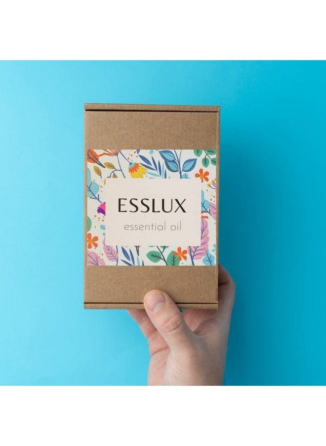 ESSLUX Rosehip Oil For Face & Skin Usda Organic Rosehip Seed Oil For Gua Sha Massage & Essential Face Oil. 100% Pure Cold Pressed Face Moisturizer For Acne Scars & Facial Oil  - Image 3