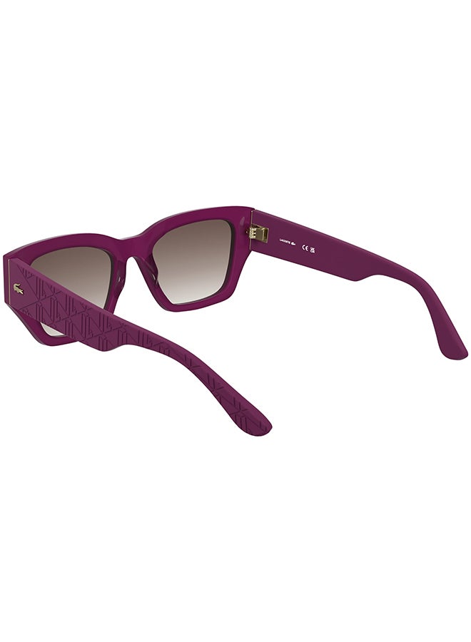 LACOSTE نظارات شمسية لاكوست كاملة الإطار من الأسيتات L6053S 5219 (526) أوبالين سيكلامين - Image 2