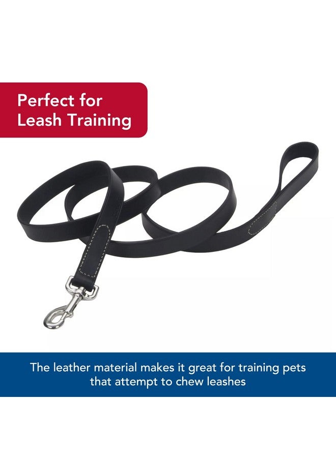 كوستال مقود الكلب Coastal Pet Circle T من الجلد المدبوغ بلون البلوط - ملحق متين للكلاب مثالي لتدريب المقود - أداة مريحة للجراء والكلاب مصنوعة من جلد محبب بالكامل - لون بني فاتح، 3/8 بوصة × 6 أقدام - Image 4