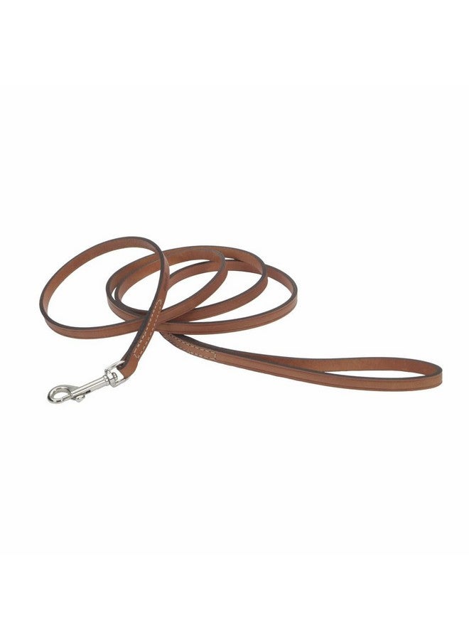 كوستال مقود الكلب Coastal Pet Circle T من الجلد المدبوغ بلون البلوط - ملحق متين للكلاب مثالي لتدريب المقود - أداة مريحة للجراء والكلاب مصنوعة من جلد محبب بالكامل - لون بني فاتح، 3/8 بوصة × 6 أقدام - Image 1