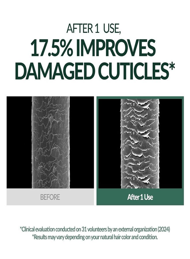 MODA MODA MODAMODA Water Coloring Hair Dye, Dark Brown Color with Gentle Gray Coverage, Vegan & Cruelty-Free, Hair Color For Women & Men, All Hair Types, 0.35 oz x 4 Pack (No Dye Kit) - Image 5