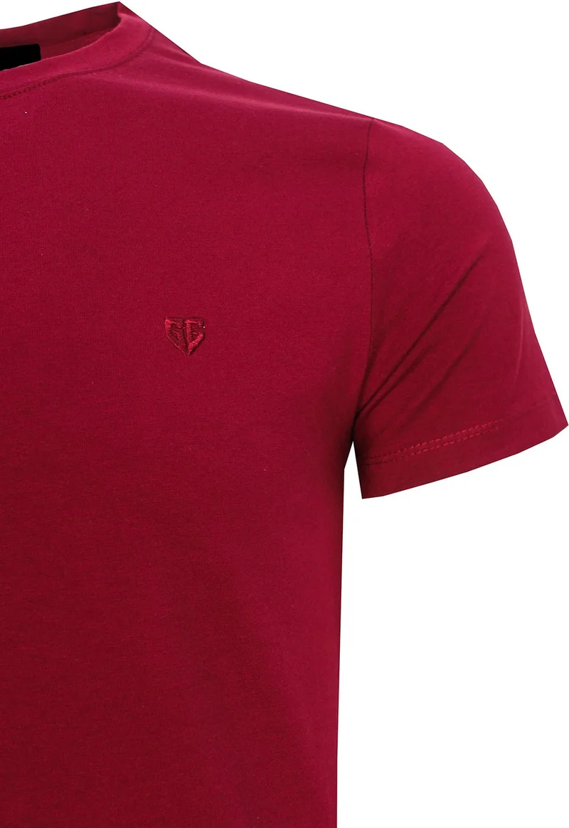 فاريتا Men's Claret Red Regular Cut Round Neck Men's Knitwear T-Shirt