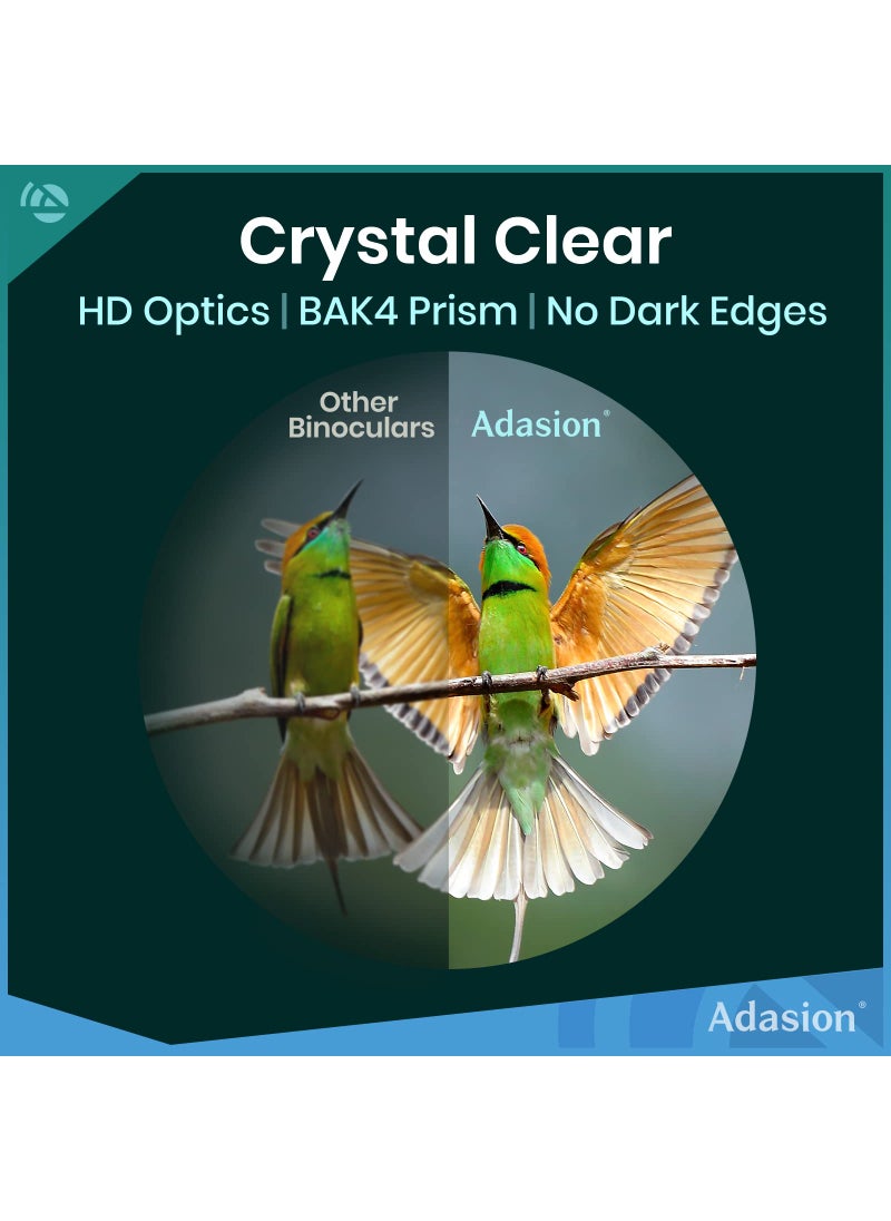 Adasion 12x42 HD Binoculars for Adults High Powered with Phone Adapter and Tripod, Super Bright BAK4 Prism Waterproof Binoculars for Bird Watching Hunting Hiking Safari Travel Sports  - Image 2
