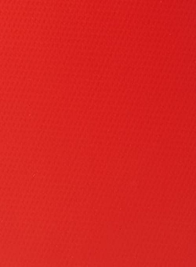 دي إتش أس مضرب تنس خشبي DHS S-S302 مع كرة تنس 40 مم، نجمتان، برتقالي (علبة 50 قطعة) وألوان متنوعة متعددة TT NET409 - Image 5