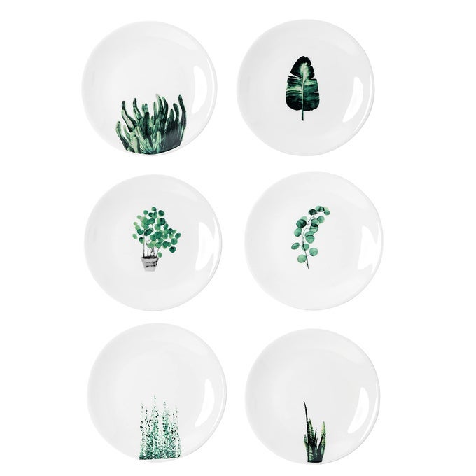 6 INCH SET OF 6 ASSORTED DESIGNS SMALL PORCELAIN PLATES WITH PLANTS PATTERNWHITE CERAMIC DINNERWARE FOR APPETIZER LUNCHEON SNACKS DESSERT SERVING BREAD MICROWAVE OVEN DISHWASHER SAFE