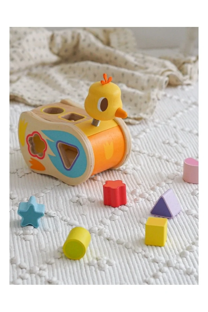 DJECO Boitatou Shape Sorter