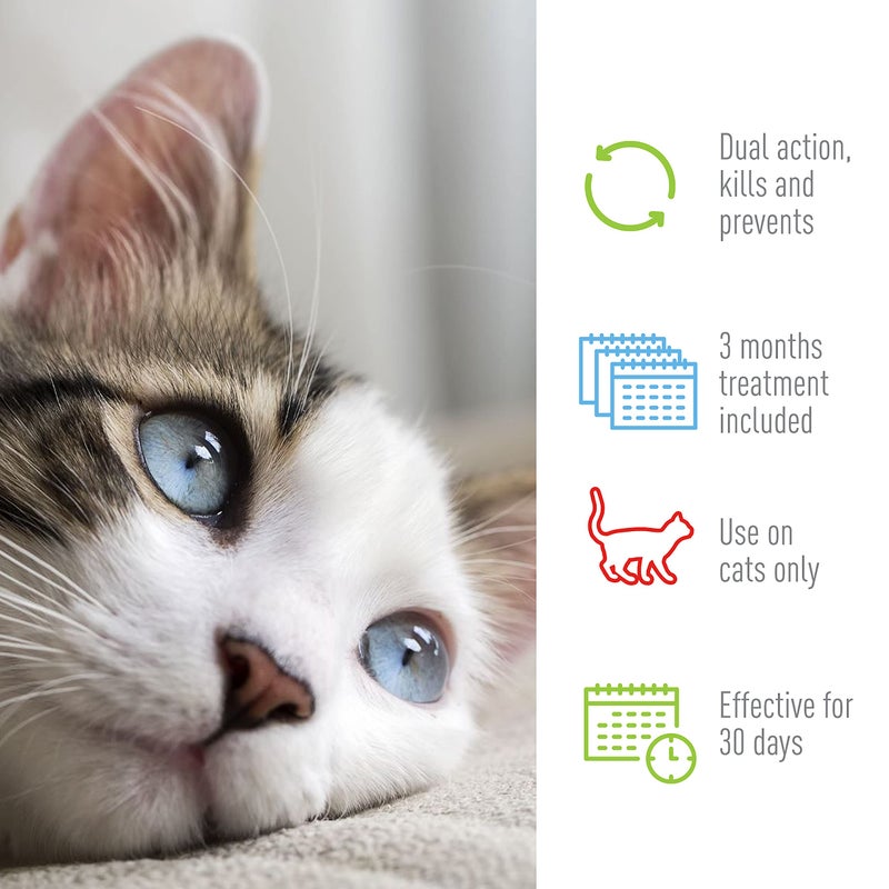 ADAMS Plus Flea and Tick Prevention Spot On for Cats, 5 lbs and Over, Kills Fleas, Flea Eggs, Flea Larvae and Deer Ticks, Kills and Repels Mosquitoes for 30 Days, 3-Month Supply, 3 Pack - Image 5