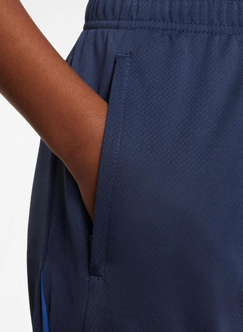 Nike Youth Psg Dri-Fit Shorts