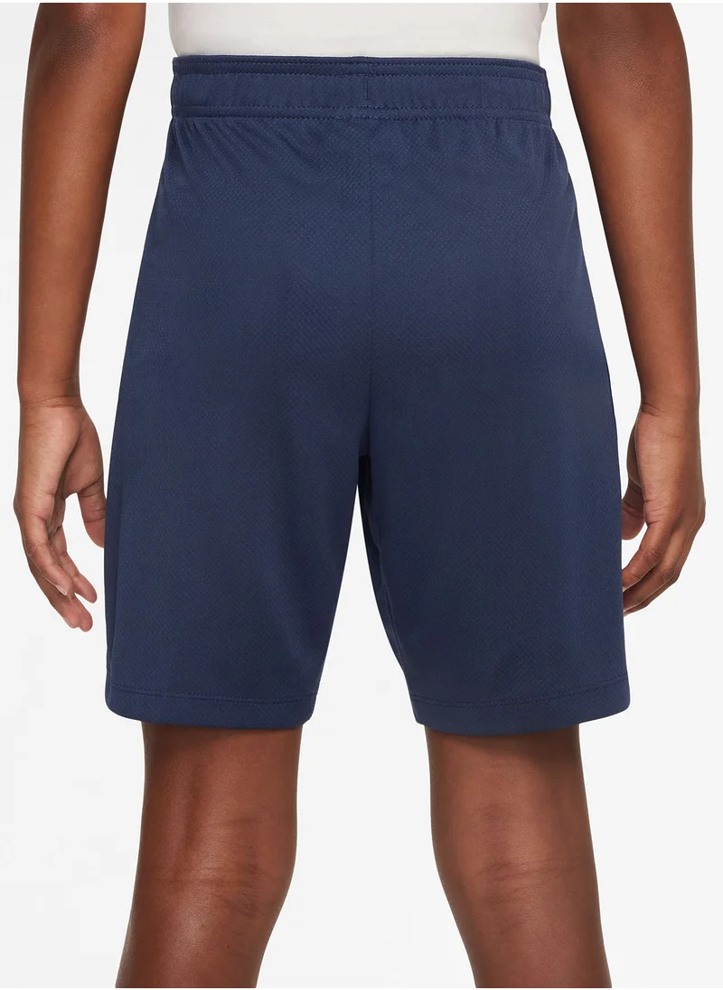 Nike Youth Psg Dri-Fit Shorts