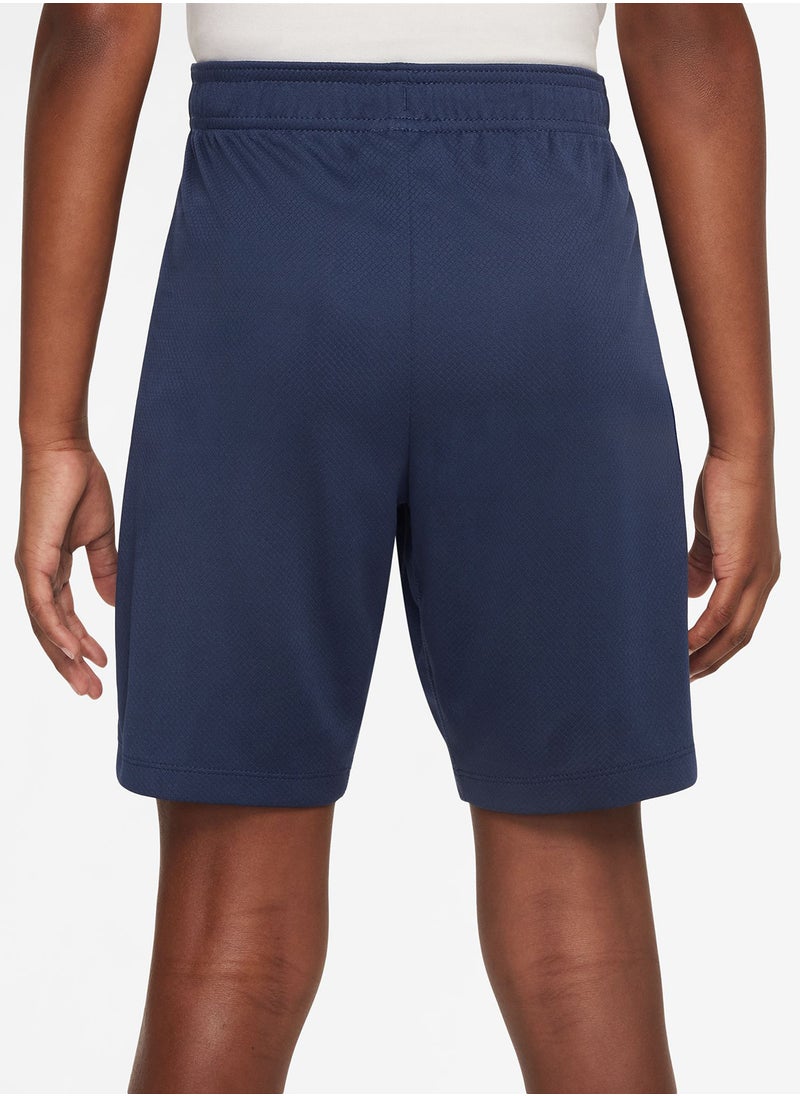 Nike - Youth Psg Dri-Fit Shorts - Image 1