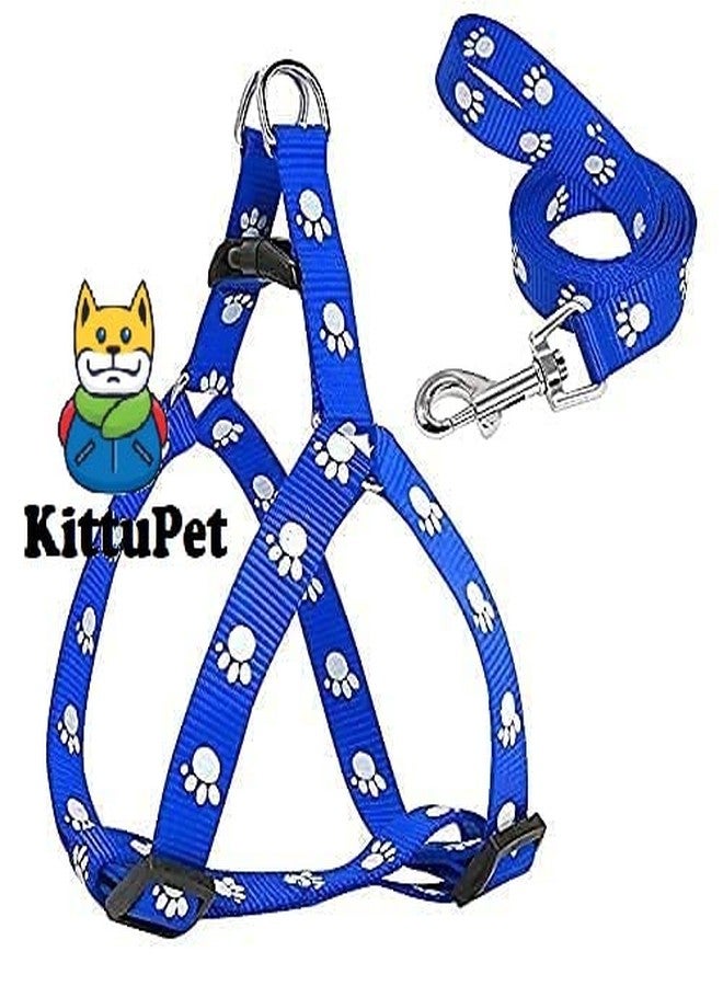 KittuPet Adjustable Soft Nylon Paw Printed Strip Harness & Leash Set for All Breeds Dogs, Cat and Puppies - Bue - Image 1