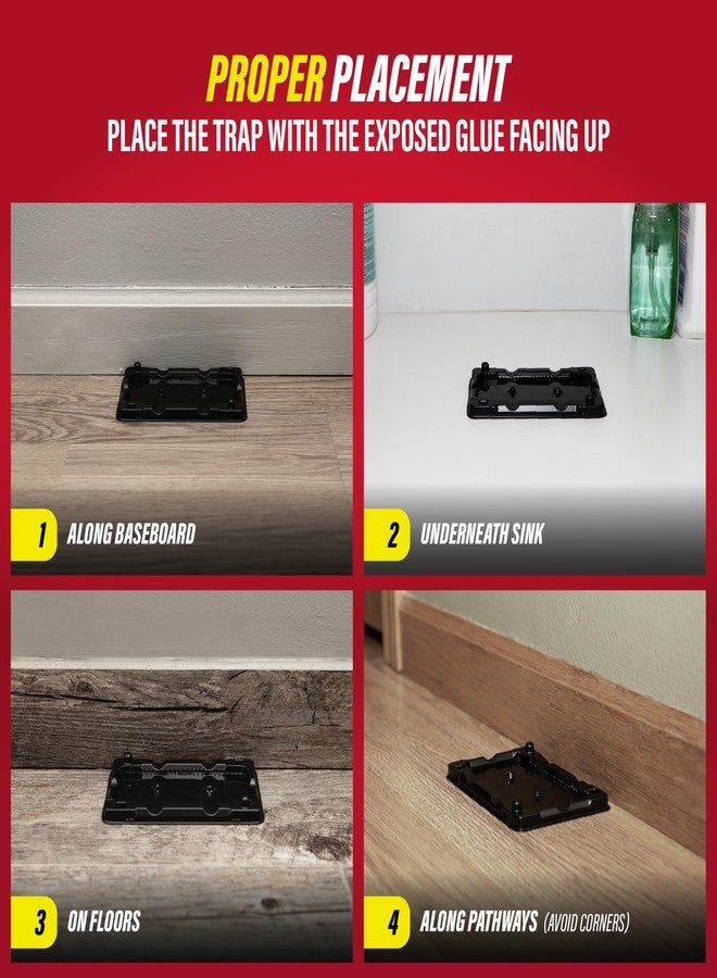 Catchmaster-40 Mouse & Insect Glue Traps, Heavy-Duty Pesticide-Free Sticky Mouse Traps Indoor for Home, Used by The PROs, Adhesive Rodent & Bug Catcher, Pest Control for House & Garage - Image 5