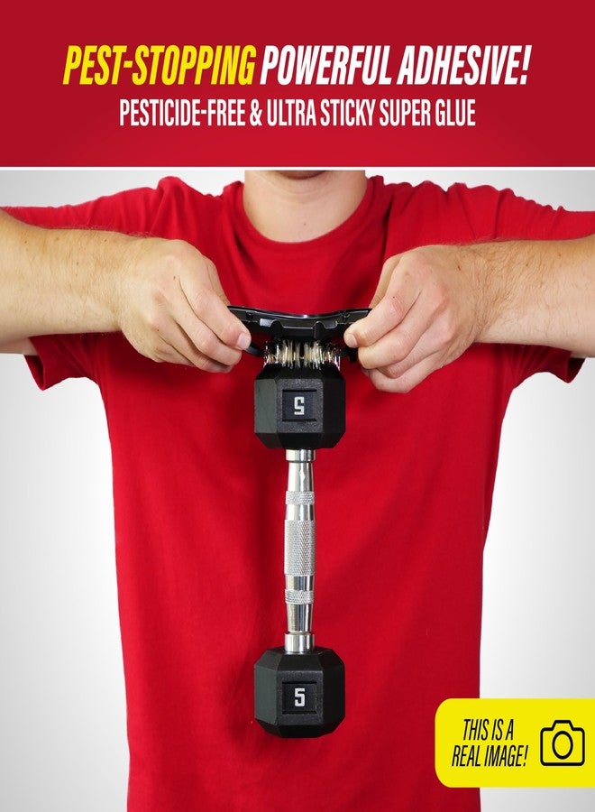 Catchmaster-40 Mouse & Insect Glue Traps, Heavy-Duty Pesticide-Free Sticky Mouse Traps Indoor for Home, Used by The PROs, Adhesive Rodent & Bug Catcher, Pest Control for House & Garage - Image 3