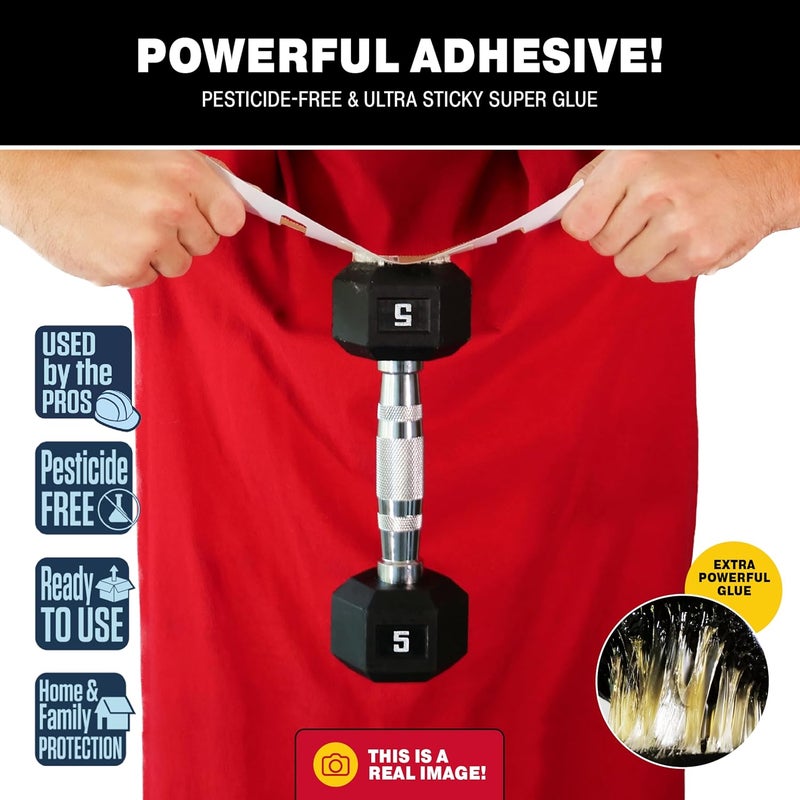 Catchmaster Spider & Insect Glue Traps 30-Pk (10 Sheets), Adhesive Cockroach Killer Glue Boards, Spider Traps, Cricket Sticky Trap, Indoor Roach Trap for Home, Garage & Shed, Pest Control for Home - Image 2