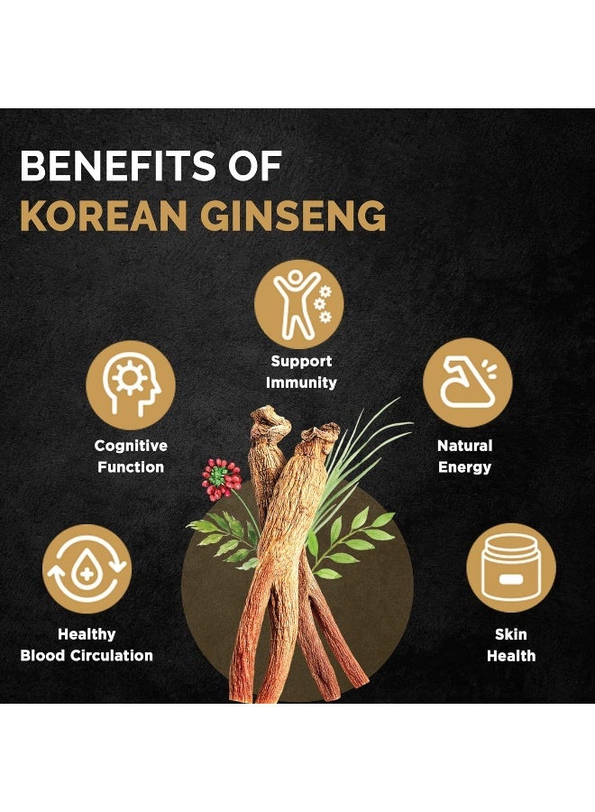 تشونغ كوان جانغ كوريسيليكت  مستخلص الجينسنغ الأحمر الكوري المناعي مع العصي السائلة من نبات البلسان] دعم المناعة الكورية، معزز الدورة الدموية، مكمل للطاقة الطبيعية، باناكس الجينسنغ الآسيوي بعمر 6 سنوات - 10 قطع - Image 3
