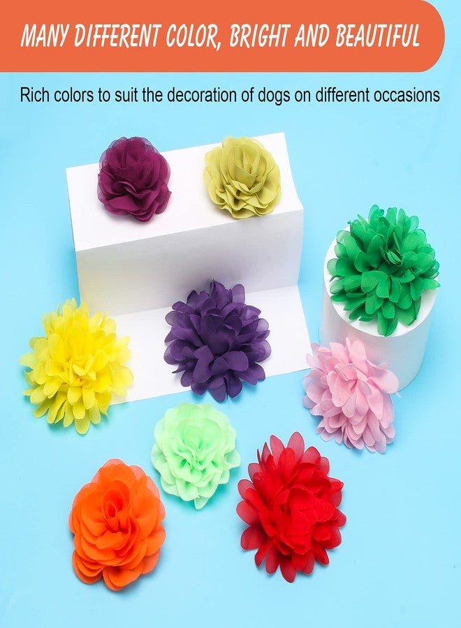 Anglekai 20Pcs Dog Collar Flowers, Pet Bow Ties Multi-Color Dog Collar Flowers and Bows Grooming Accessories (Solid) - Image 4