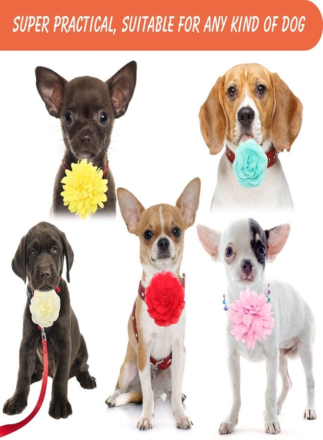 Anglekai 20Pcs Dog Collar Flowers, Pet Bow Ties Multi-Color Dog Collar Flowers and Bows Grooming Accessories (Solid) - Image 5