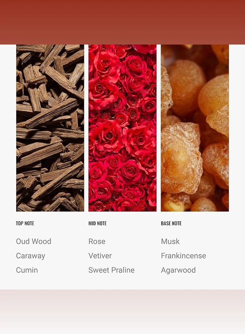 Hotel Collection Desert Rose Fragrance Oil Blend - Hotel Inspired for Luxury Essential Oil Diffusers - Aromatherapy Scent Diffuser Oil - Oud Wood, Damask Rose, and Clove