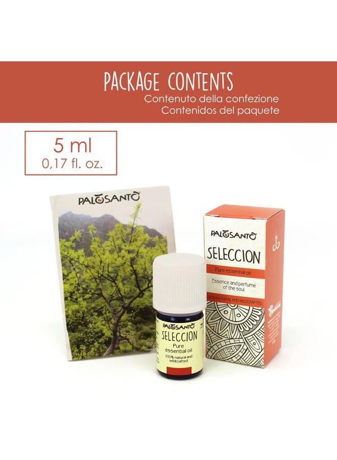 palosanto Palo Santo Essential Oil from Perù - Seleccion - Pure Organic Essential Oils for Diffuser - Palo Santo Oil Ideal for Aromatherapy and Stress Relief - 5 ml - Image 2
