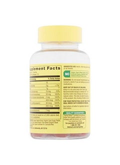 SPRING VALLEY Vitamin B For Adults With Vitamin B6 B12 C Biotin Niacin Folic Acid Vegan Vegetarian Energy Spring Va Gummy  - Image 4