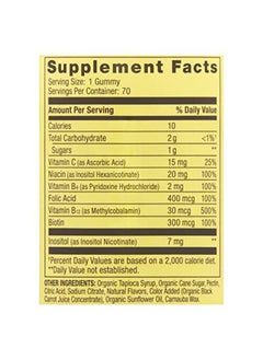 SPRING VALLEY Vitamin B For Adults With Vitamin B6 B12 C Biotin Niacin Folic Acid Vegan Vegetarian Energy Spring Va Gummy  - Image 3