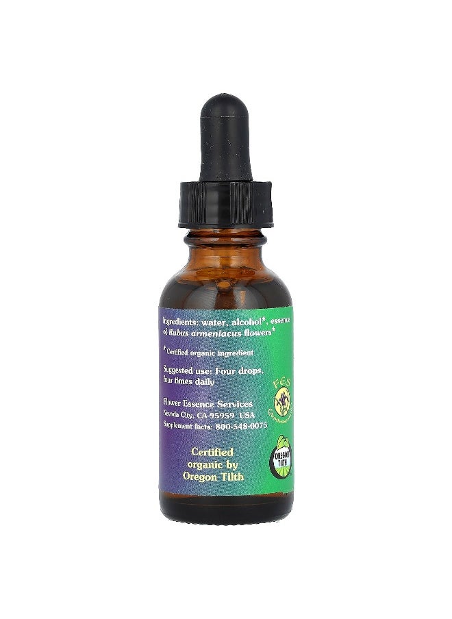 Flower Essence Services Flower Essence Services, Blackberry, Flower Essence, 1 fl oz (30 ml)  - Image 2