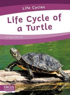 Life Cycles: Life Cycle of a Turtle