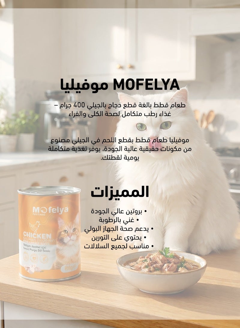 MOFELYA Adult Cat Food, Wet Food, Chicken Pieces in Jelly, 400g - Wet cat food rich in protein and taurine for healthy kidneys and coat - Image 3