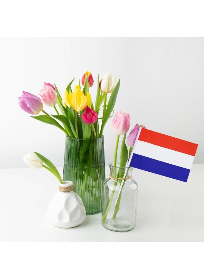 10 Pcs Netherlands Hand Flags —21CM Double-Sided Mini Stick Flags for Party & FIFA World Cup 2026 Decor - Image 5