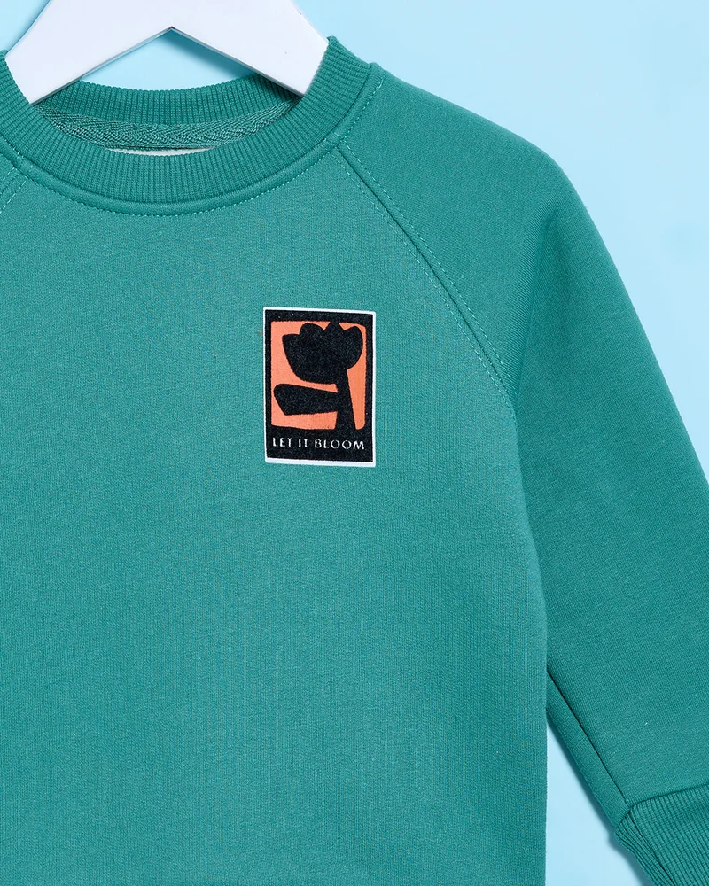 ردتاغ Infant Boys Blue Bonded Pullover Sweatshirt