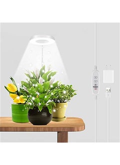 Arabest Adjustable Height Dimmable Timer LED Grow Light for Indoor Plants - Full Spectrum 6000K White Lamp for Succulents, Bonsai - 4/8/12/18Hrs  - Image 1