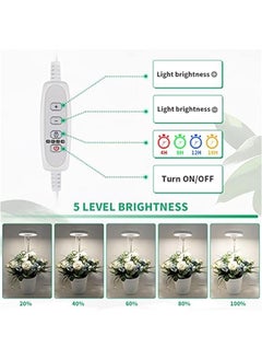 Arabest Adjustable Height Dimmable Timer LED Grow Light for Indoor Plants - Full Spectrum 6000K White Lamp for Succulents, Bonsai - 4/8/12/18Hrs  - Image 5