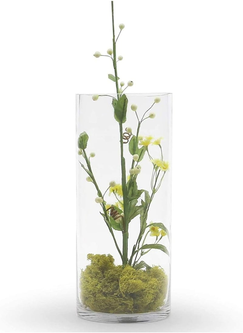 Handmade AKDC Glass Cylinder Vase (Clear, Width 4in, Height 7.8in)  - Image 3