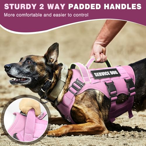 WINSEE Service Dog Vest Harness for Large Dog, Tactical Working MOLLE Vest with 10 Pet Patches, No Pull Heavy Duty Harness for Training Walking - Image 3