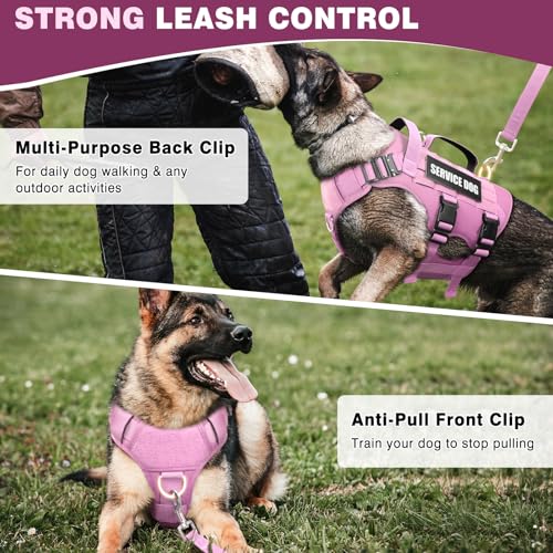 WINSEE Service Dog Vest Harness for Large Dog, Tactical Working MOLLE Vest with 10 Pet Patches, No Pull Heavy Duty Harness for Training Walking - Image 4
