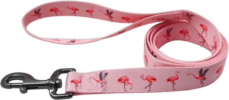 Ovale Dog Collar and Leash Set, Polyester Webbing with Flamingo Pattern, 4 (Pink Flamingo, Small) - Image 5