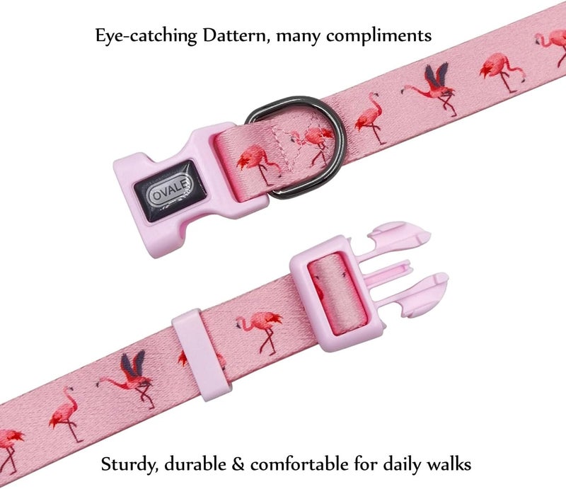 Ovale Dog Collar and Leash Set, Polyester Webbing with Flamingo Pattern, 4 (Pink Flamingo, Small) - Image 4