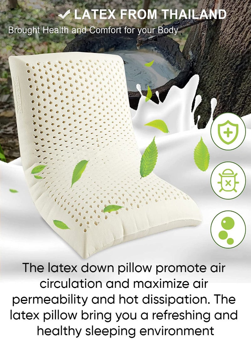 Cannon Latex Pillow Standard - Image 3